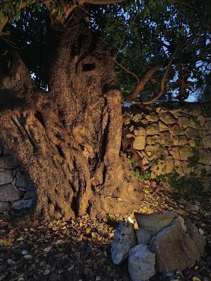 Villa Casotto Il Carrubo, A 100 Mt Dal Mare! Avola Exterior foto